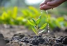 Plant nursery, Horticulturists image